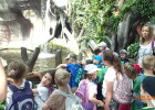 Výlet do ZOO Praha_3.6.2025