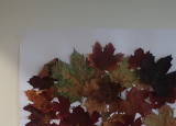 pa260128.jpg