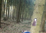 pa250077.jpg