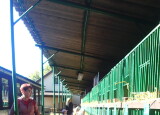 P9191967.JPG